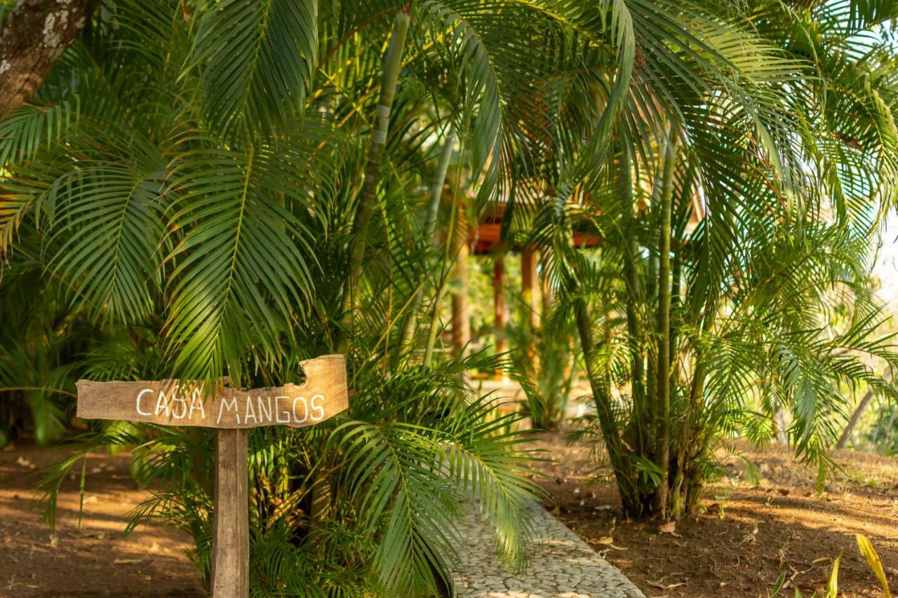 Calamocha Lodge Playa Santa Teresa  Extérieur photo